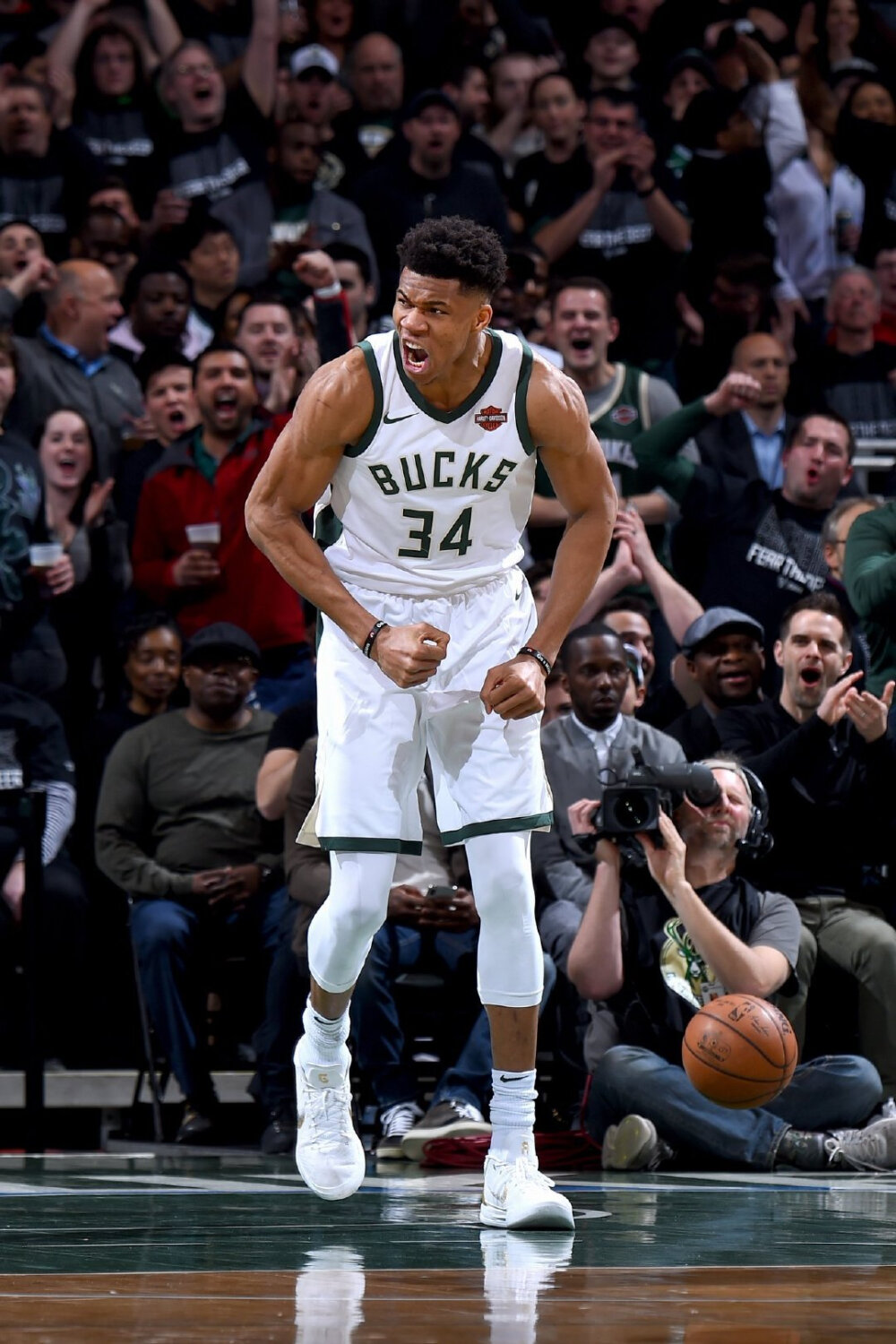 社会凝聚力 社会凝聚力