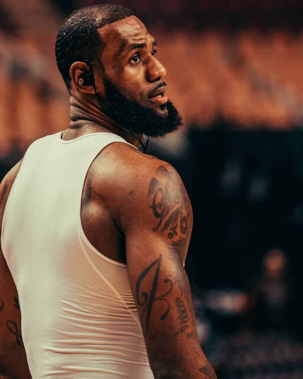 调校与角色 调校与角色